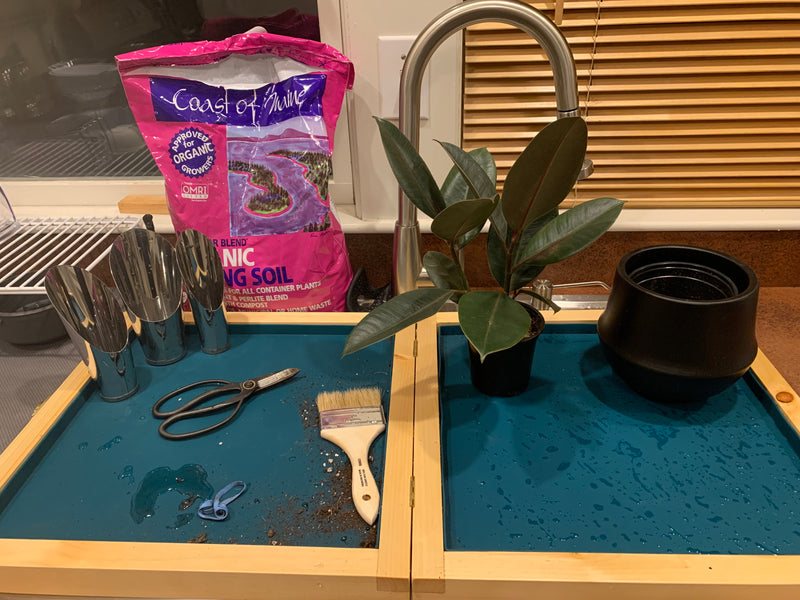 How To Use Your Indoor Potting Station