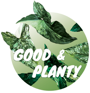 Good & Planty Logo
